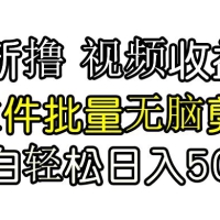 发视频撸收益，软件无脑批量剪辑，第一天发第二天就有钱