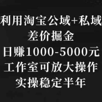 利用淘宝公域+私域差价掘金，日赚 1000-5000 元，工作室可放大操作，实操稳定半年