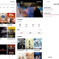 大师兄影视V3.3.90去广告VIP会员解锁破解版