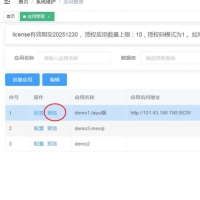 SpringBoot软件快速开发工具,内置工作流引擎集多应用管理功能于一体