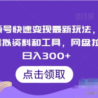 最新视频号变现玩法：利用虚拟资料和工具，通过网盘拉新，实现日入300+