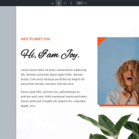 WordPress主题Bricks v1.9 破解版