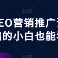 谷歌SEO营销推广课零基础的小白也能看懂