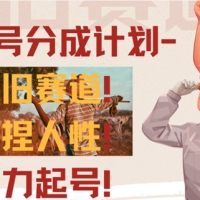 视频号分成计划-怀旧赛道，原创技术，暴力起号