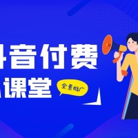 24年抖音付费全景推广玩法解析，带大家了解付费的整个变化 (9节课)