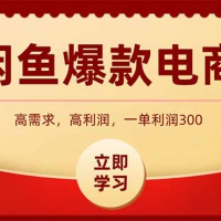 闲鱼卖爆款数码产品，当天上架即可出单，一天利润1000