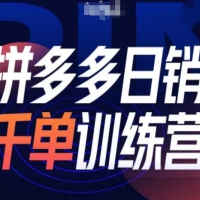 拼多多日销千单训练营第31期微付费带流玩法