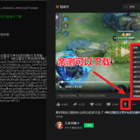 2025最新版本，视频号下载器！支持直播回放下载，使用超简单，一键下载为MP4格式