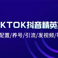 海外TIKTOK抖音精英实操班：注册下载/配置/养号/引流/发视频/等等