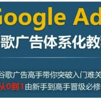 Google Ads谷歌广告体系化广告新手到高手