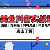 新美业抖音实战课丨直播丨短视频丨同城流量丨抖音矩阵（30 节课）