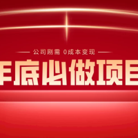 揭秘年底必备项目：0成本变现，每个公司的刚需，轻松日入300+