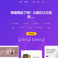 Astra独立站全套主题整理 带pro版插件