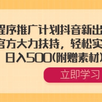 全新小程序推广策略：抖音平台推出，官方全力支持，简单易行，每日收入500元（赠送素材）