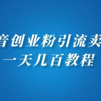 抖音创业粉引流卖课一天几百教程