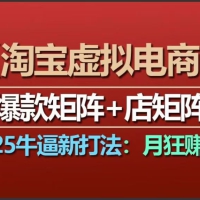 【淘宝虚拟项目】2025牛逼新打法：爆款矩阵+店矩阵，月狂赚5万