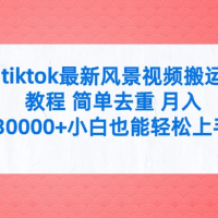 TikTok 最新风景视频搬运教程，简单去重，月入 3w+ 小白也能轻松上手