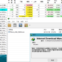 IDM中文版下载利器全球下载最快v6.42.36