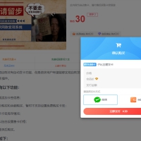 wp子比主题发卡插件源码zibll主题发卡插件