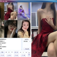 PC美女写真爬取下载v2.8绿色版 爬取下载网站写真-春节版v2.8