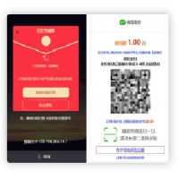 视频传输打赏主播系统软件源码 连接fastpay付款