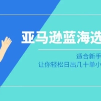 亚马逊 · 蓝海选品课：适合新手小白卖家，让你轻松日出几十单小爆款产品