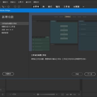 Adobe Bridge 2026简称BR(v16.0.1.18)破解版