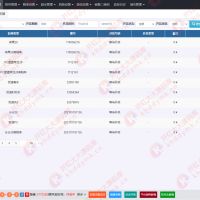 全网首发+旗舰28完美运营Java版高仿28圈+彩种丰富+机器人+眯牌