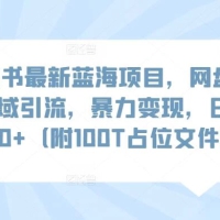 小红书最新蓝海项目，网盘扩容私域引流，暴力变现，日入 1000+（附 100T 占位文件）