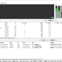 Process Lasso 进程优化工具Pro v15.0.5.1 多语言便携版