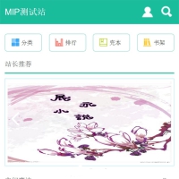 杰奇小说模板WAP移动手机版源码 使用百度MIP