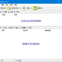 ReNamer(文件重命名工具) Pro v7.7.0.7 多语便携版