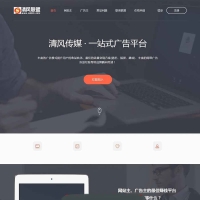 【广告联盟平台】极易一站式广告投放平台v9灰黑色高档网站模版源代码