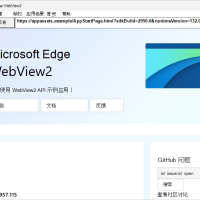 WebView2 示例 WebView2APISample 应用演示