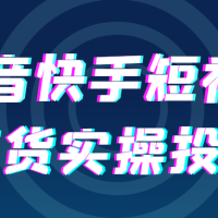 抖音快手短视频带货实操投流