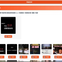聚合短视频解析去水印源码（有后台）自适应双端