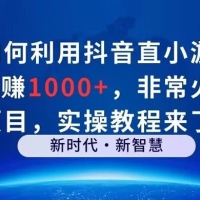 如何利用抖音直播小游戏日赚 1000+，非常火爆项目，实操教程来了