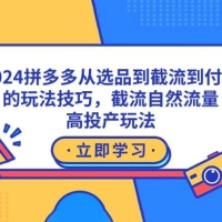 2024 拼多多从选品到截流到付费的玩法技巧，截流自然流量玩法，高投产玩法