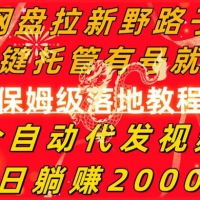 网盘拉新野路子，一键托管有号就行，全自动代发视频，每日躺赚 2000+