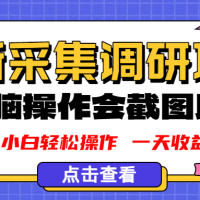 新版采集调研项目，截图上传即可，无脑操作，日收益1-2张