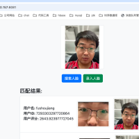 国内首款纯java算法内核开源社区级人脸识别项目，项目基于EasyAi，人脸识别服务