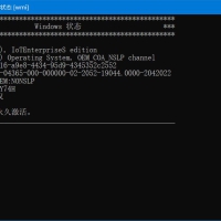 Microsoft系统激活脚本(MAS中文版)v3.2汉化版