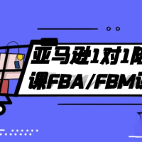 亚马逊1对1陪跑课FBA/FBM课程