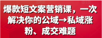 爆款短文案营销课 一次解决你的公域 私域涨粉、成交难题