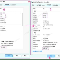 视频无损放大工具video2x v6.3.1智能超分辨率