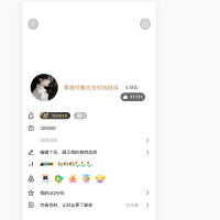 2025最新版QQ个人资料模拟器源码
