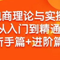 电商理论与实操从入门到精通：抖店+淘系+多多，新手篇+进阶篇