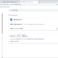 百分浏览器v5.2.1168.57便携版