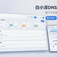 白小泽DNS域名分发系统 公测版 v1.0.0
