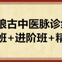 陈予粮古中医脉诊绝学初级班+进阶班+精修班 60G